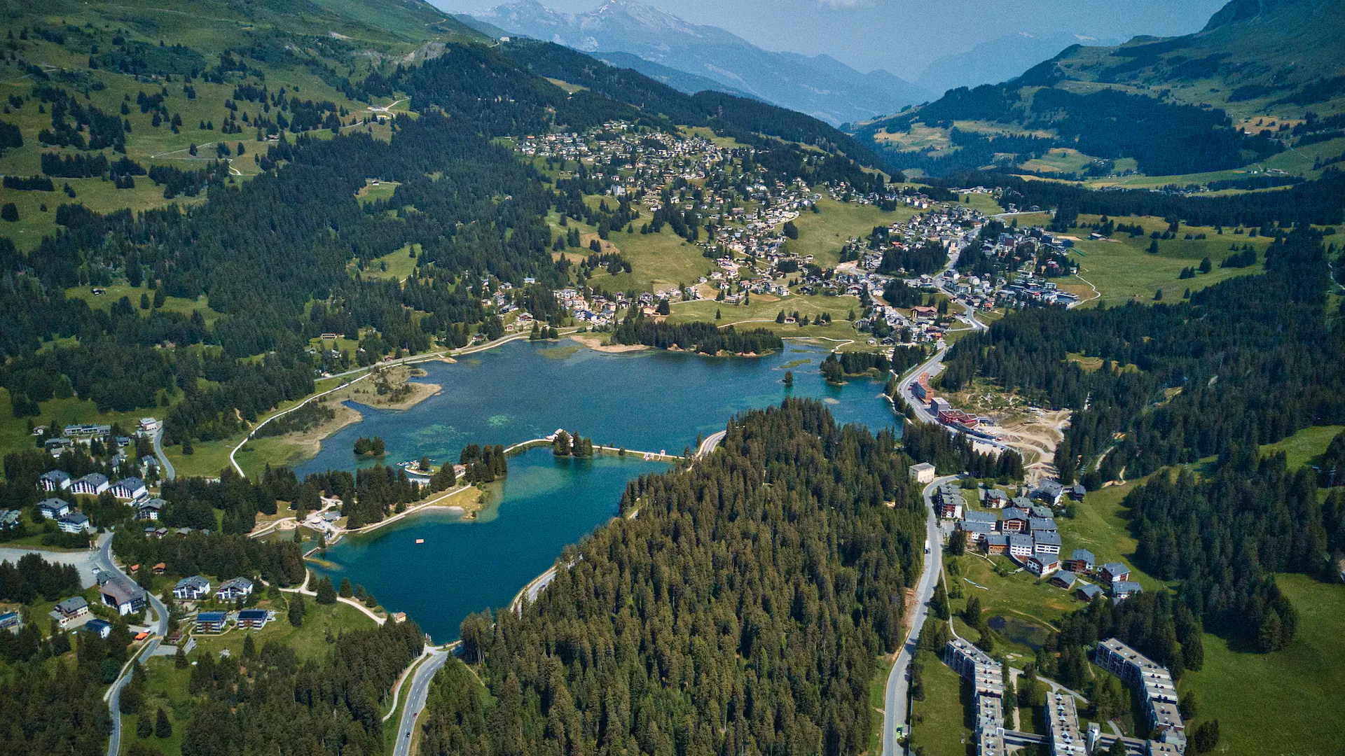 Albula