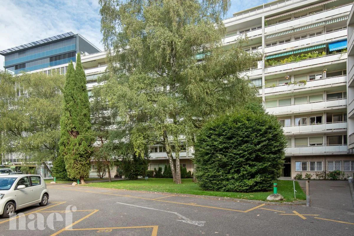 Appartement mit großer Terrasse in Champel