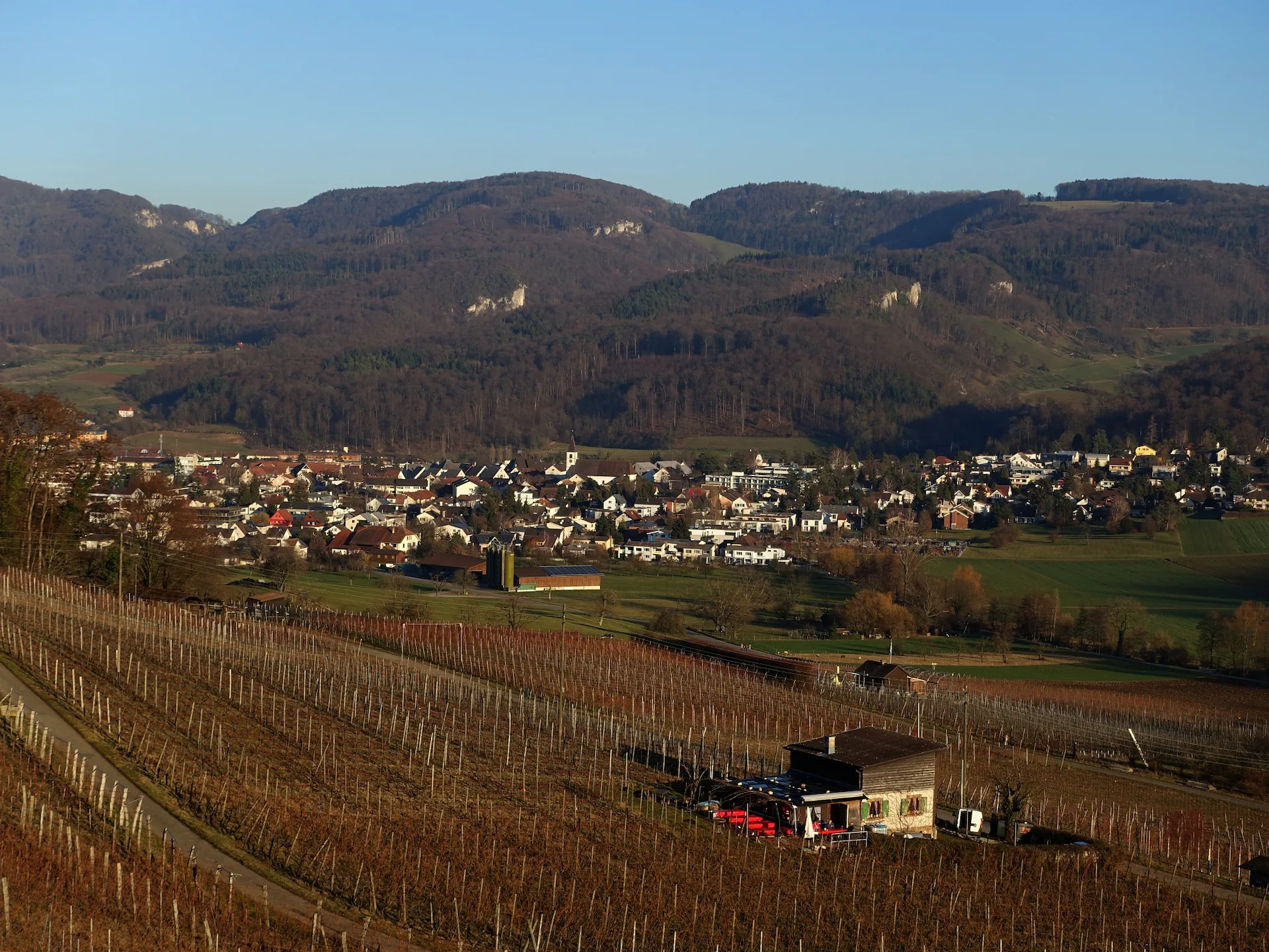 Aesch BL