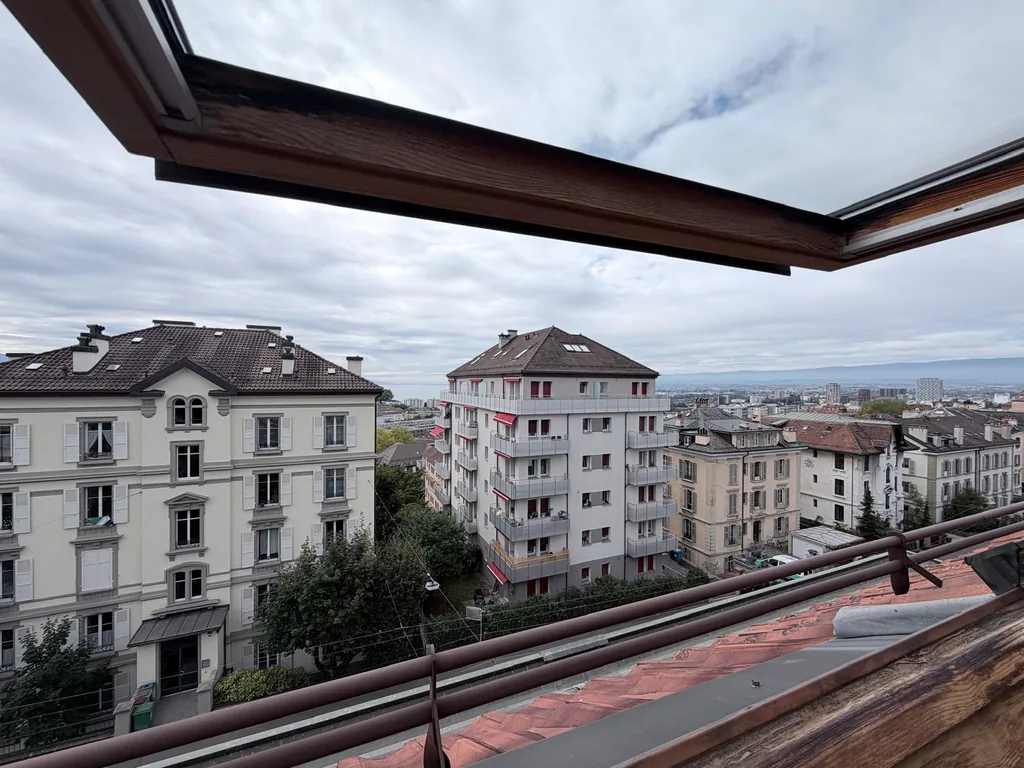 Charming 3.5 room attic apartment with mezzanine and terrace