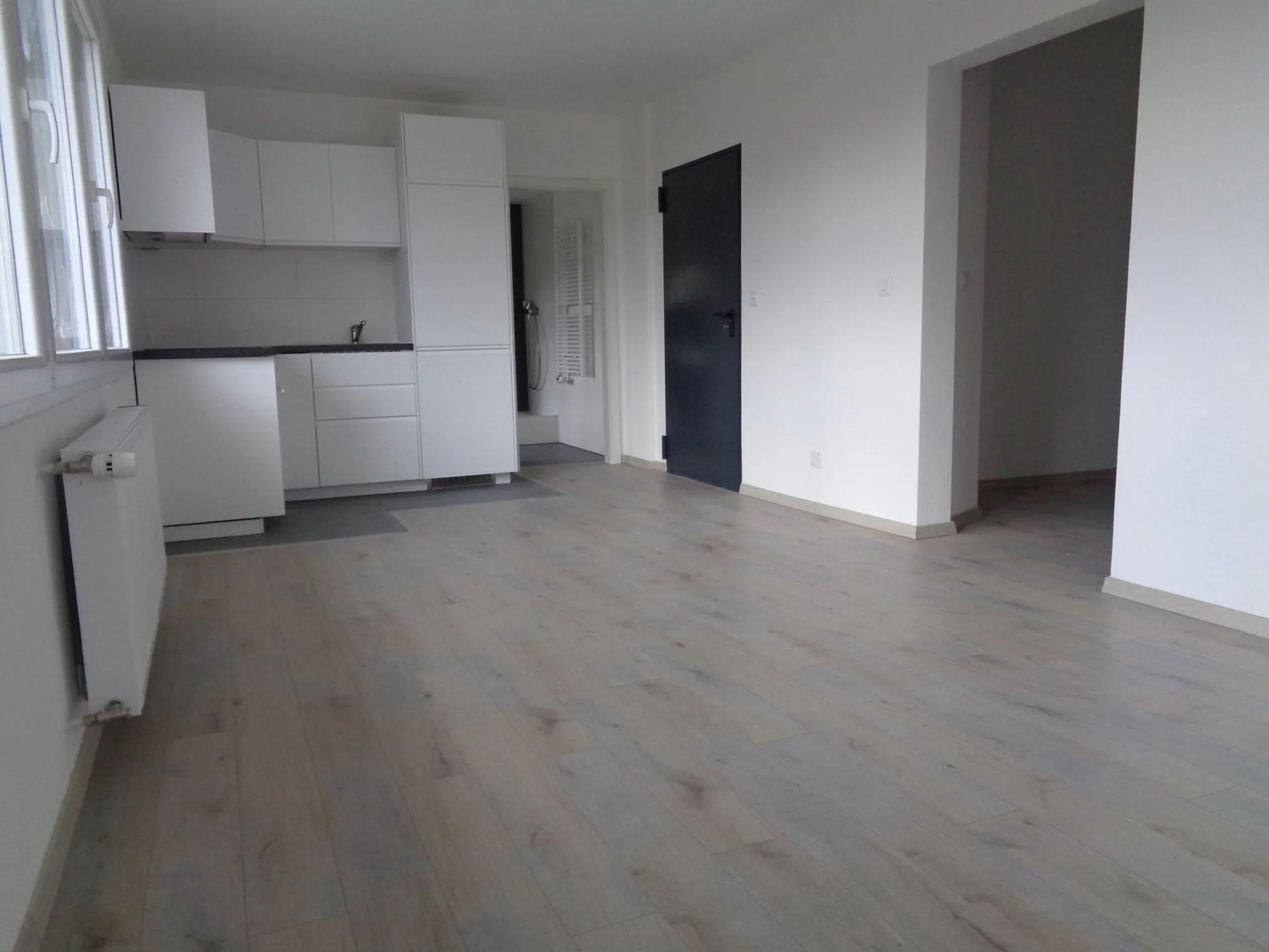 Modernes renoviertes Apartment