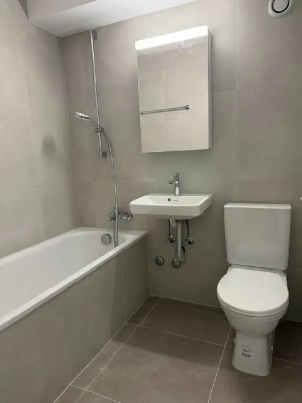 1.5 room apartment