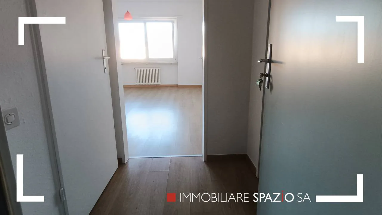 Breganzona 2 rooms - 1P