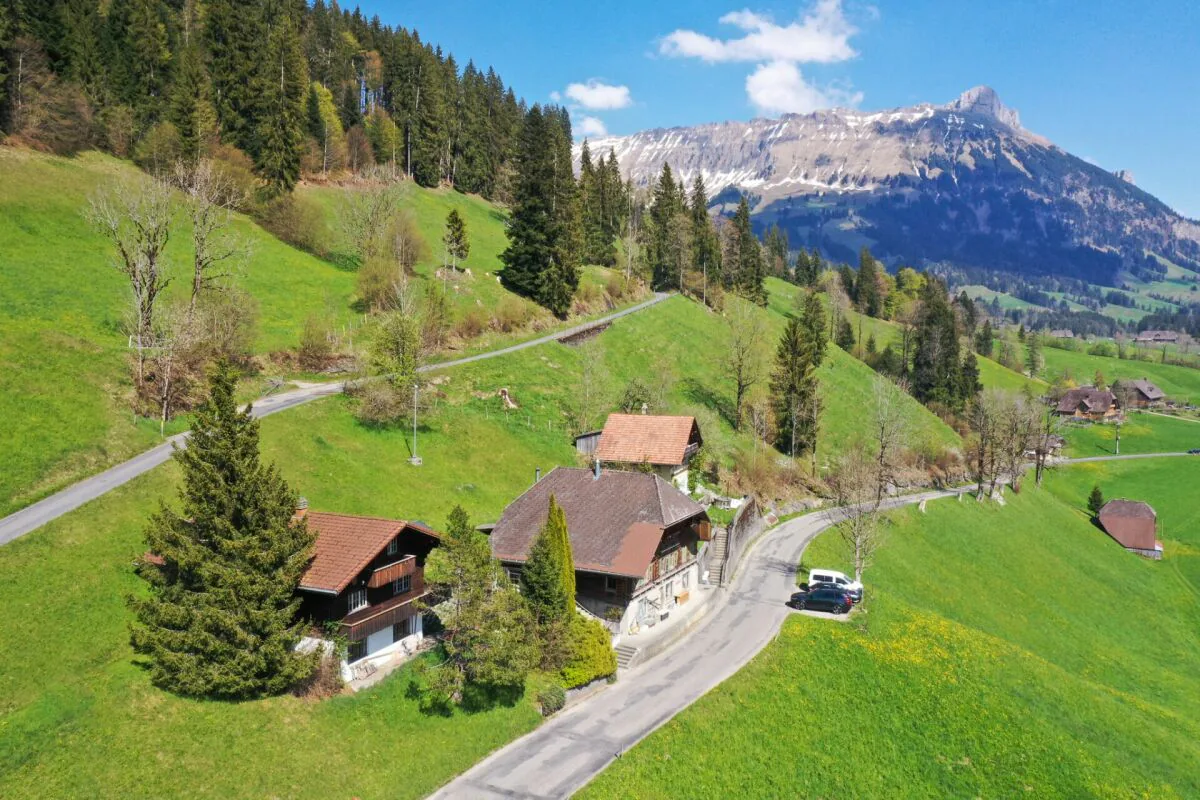 Deux maisons d'habitation avec atelier et magasin