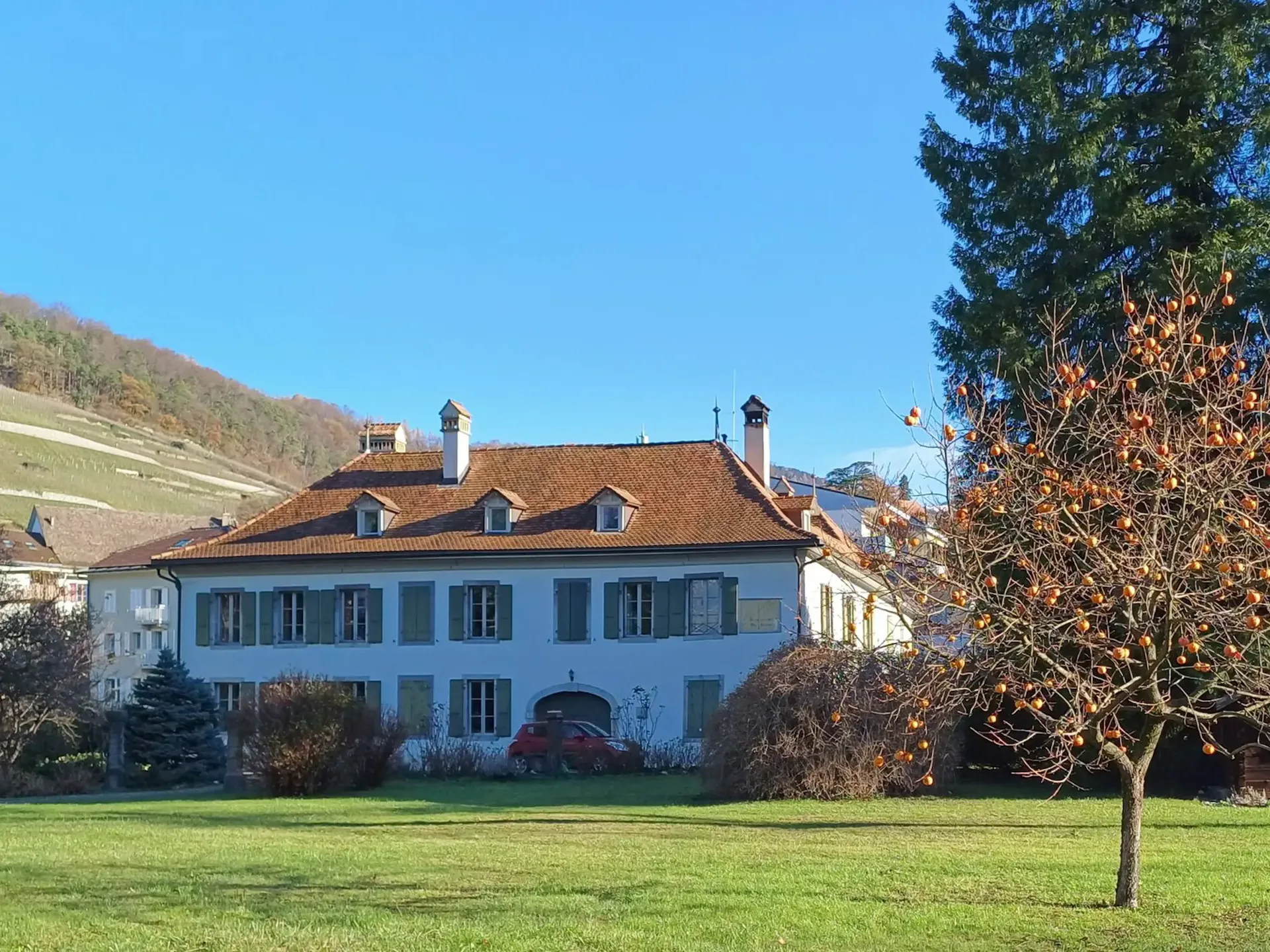 Bex: spacious historic apartment for rent, 4.5 rooms