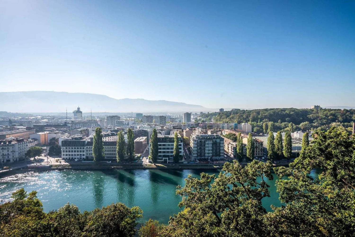 Exklusiv: Duplex mit Rheinblick