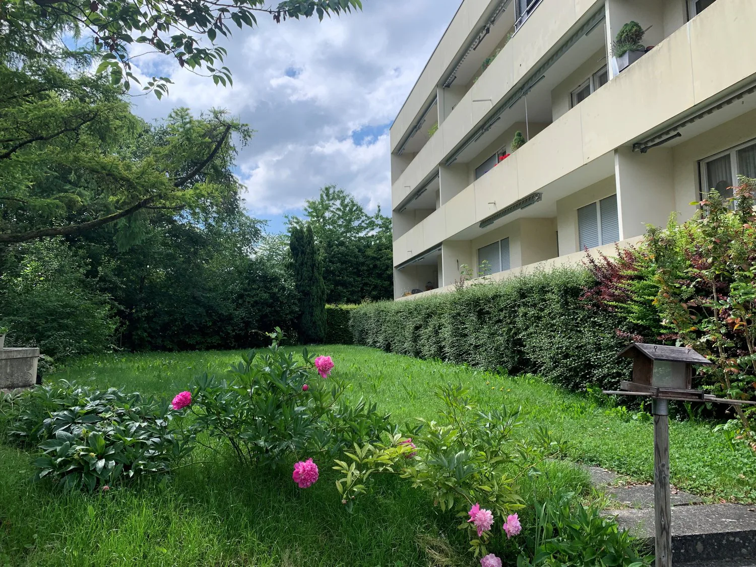 Appartamento soleggiato 2 locali con ampio balcone