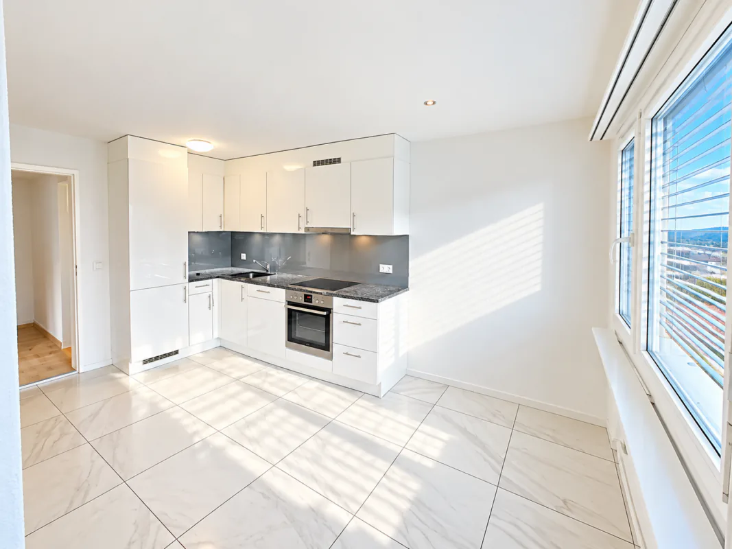 Top Renovated 5.5 ROOM APARTMENT with large playground!