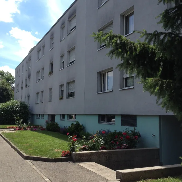 4 - Bedroom apartment in a quiet location in Therwil