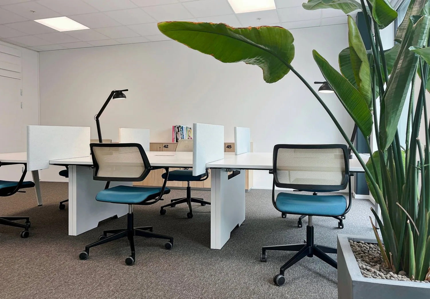 Büro-Design für 40 Personen bei Spaces Main Station