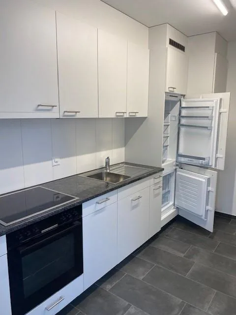 Centrally located, modern apartment on the 2nd floor left, near the Rhine