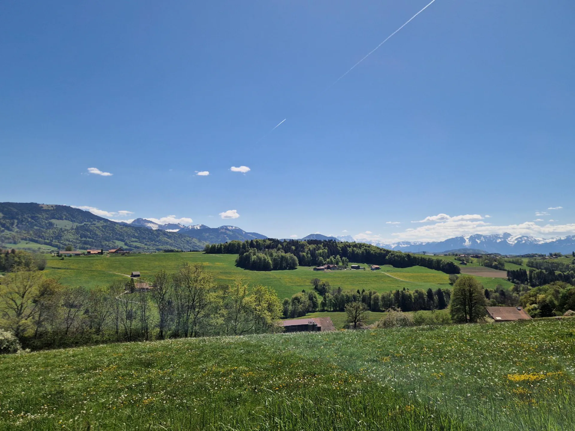 Gelegenheit: neue Villen zwischen Châtel-St-Denis und Bulle