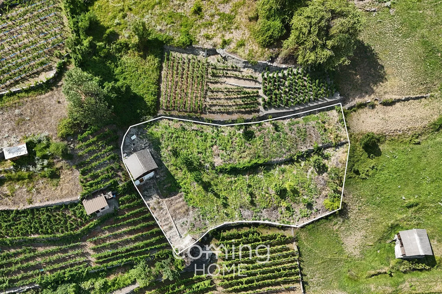 Parcello di vigneto con casa di vigneto a Stalden - viticoltura nella valle di Visp