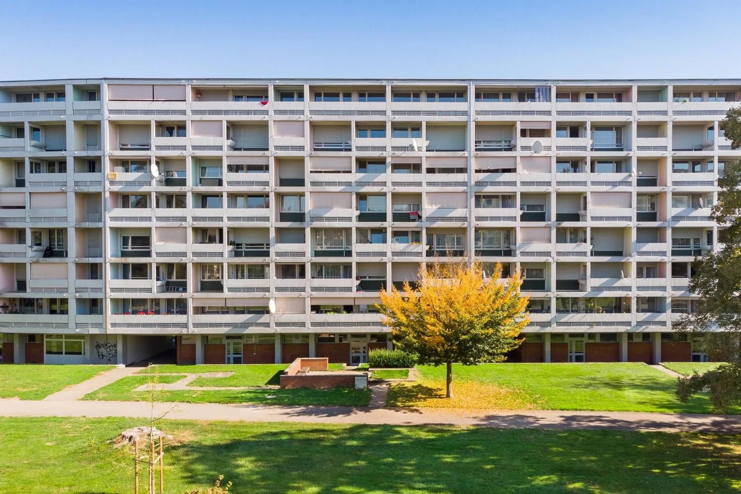 Superbe appartement studio