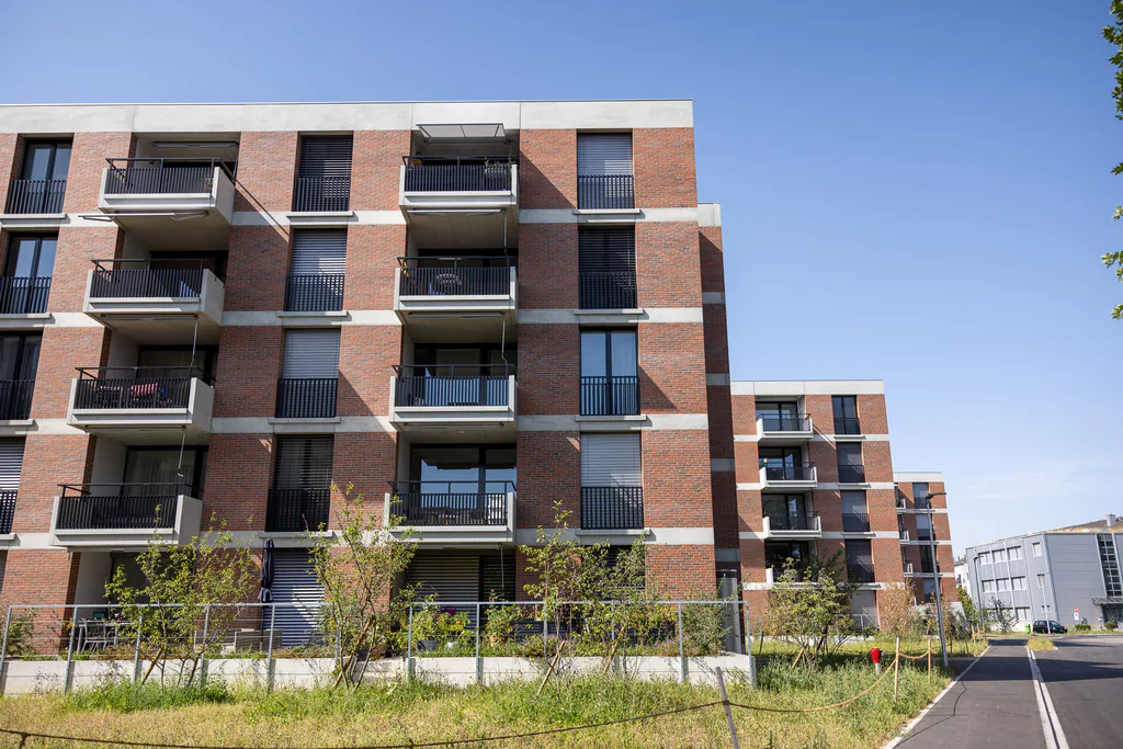 3.5-Zimmerwohnung im Färbiareal