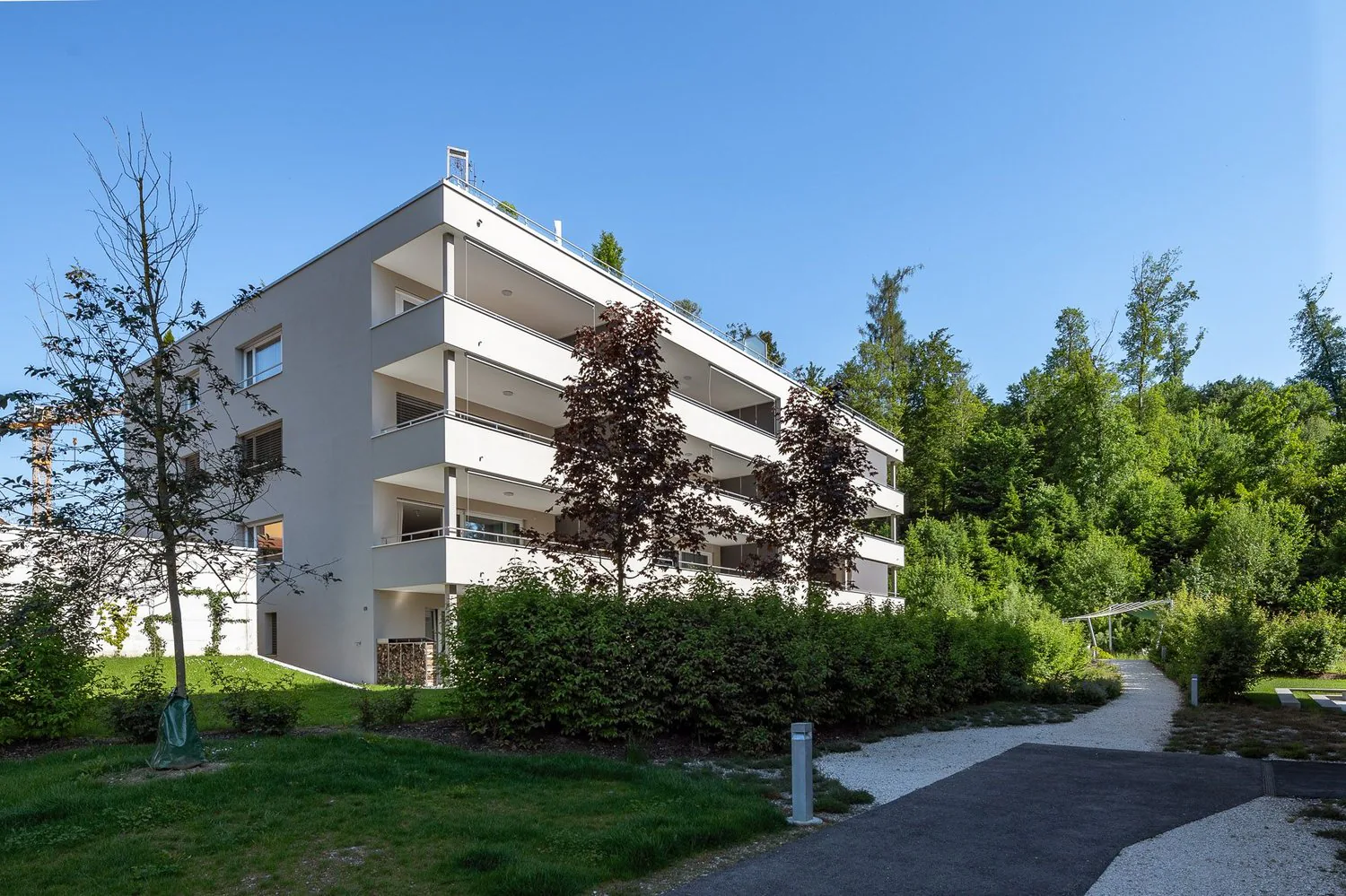 Appartement de 3,5 pièces neuf dans le verdure 102m2