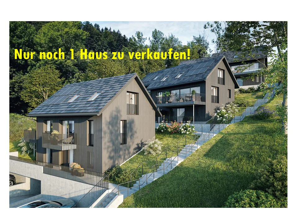 Modernes 5.5-Zimmer-Einfamilienhaus an ruhiger Lage in Waltenstein/ Schlatt