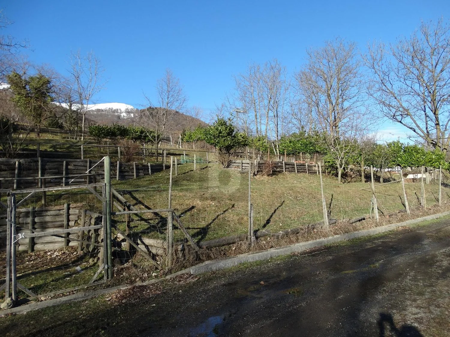 Pâturage pour chevaux