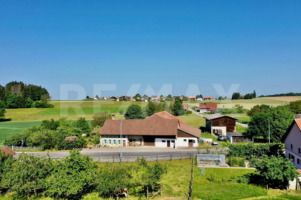Une ferme, 8'482 m² de terrain et mille possibilités