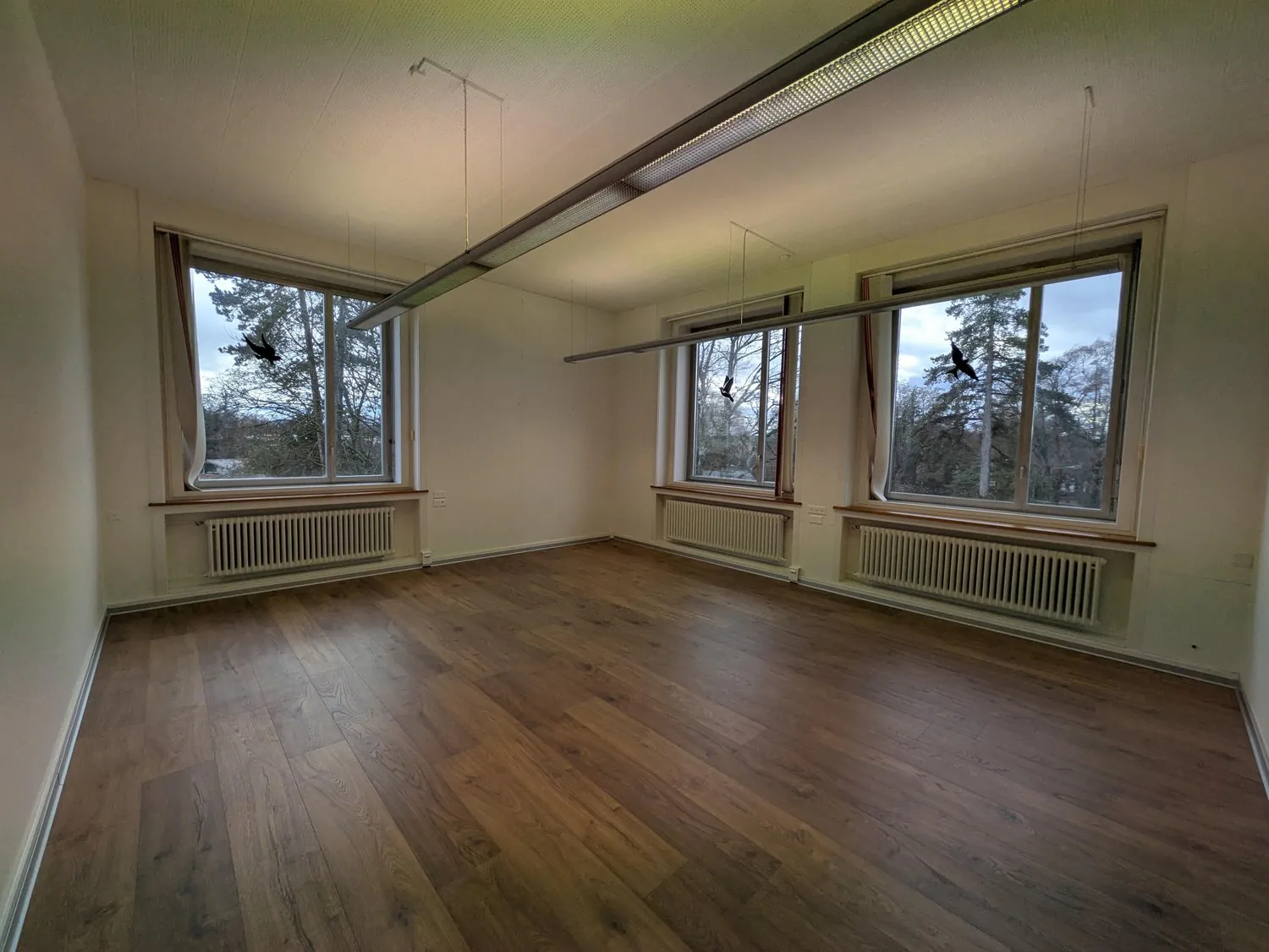 Büro in Biberist