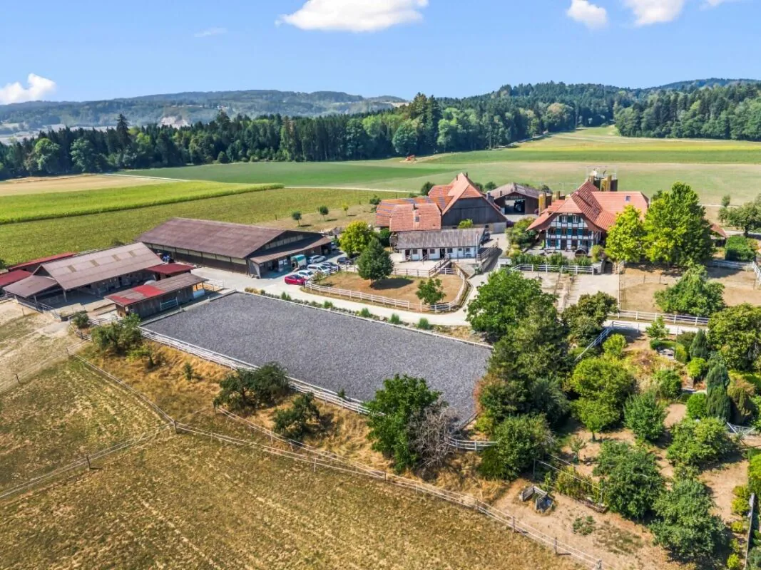 Immobilier d'équitation - une oasis pour les humains et les chevaux