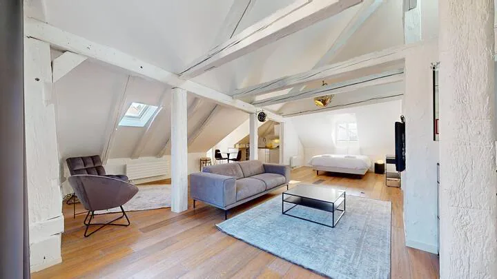 Magnifique loft à louer