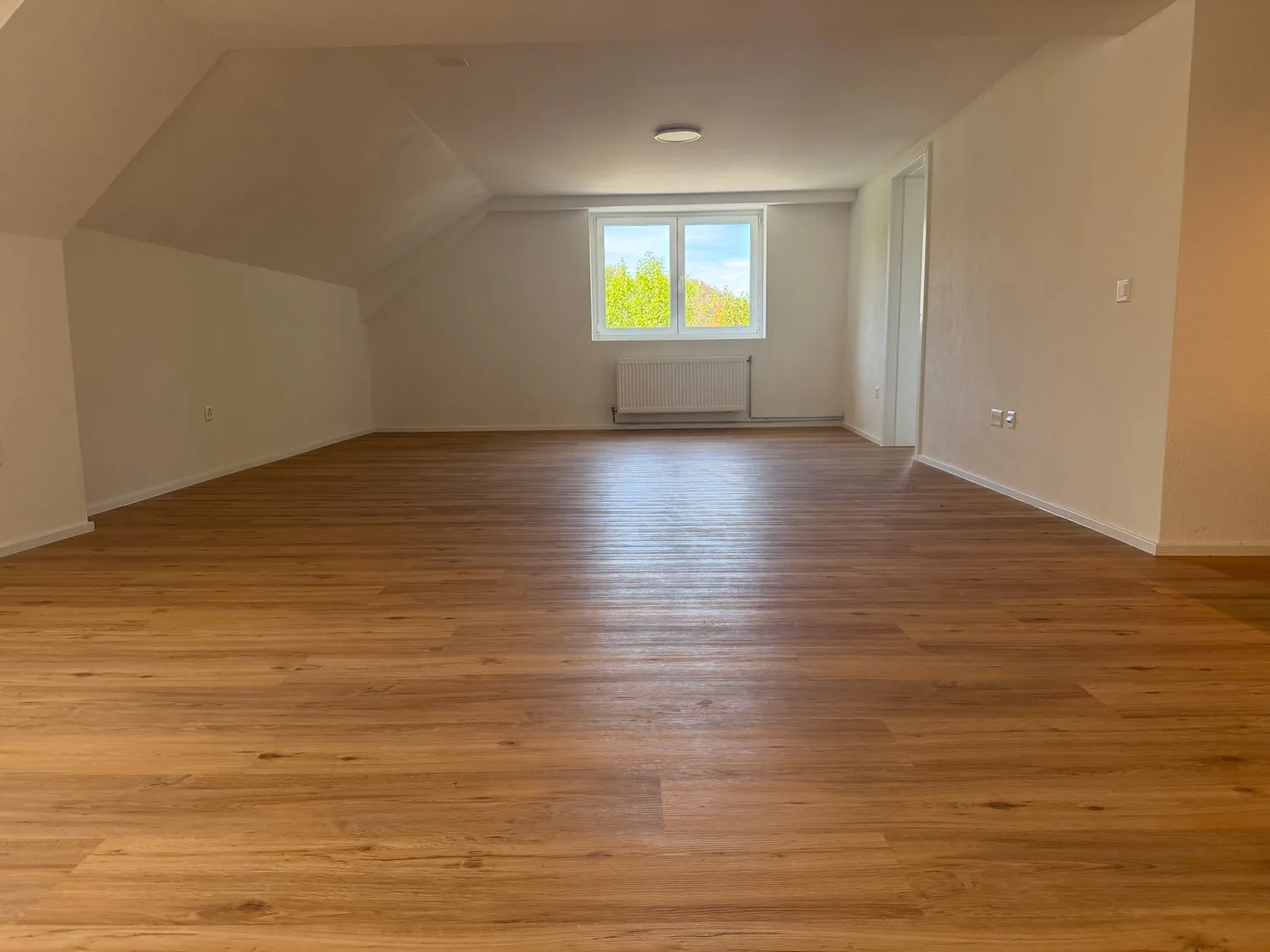 Appartamento 2,5 locali – ristrutturato!