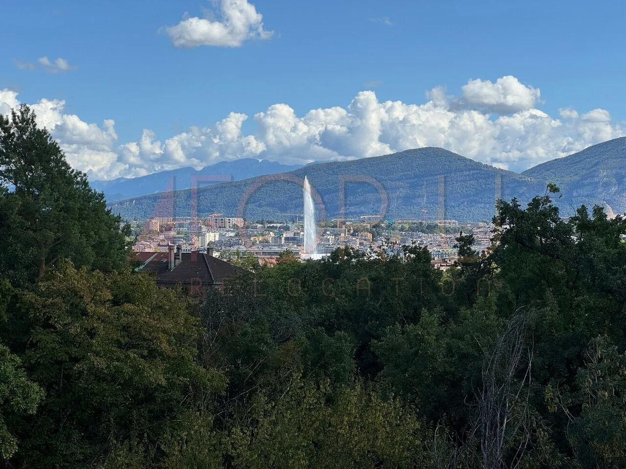 Prachtiges 6.5-Zimmer-Attikapenthouse, neu mit 2 Terrassen und Blick in der Nähe der UNO