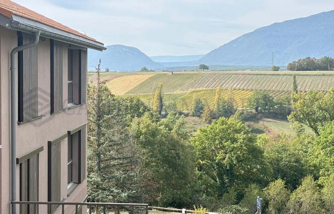5 Stück - 1. Etage - Lot 4.02