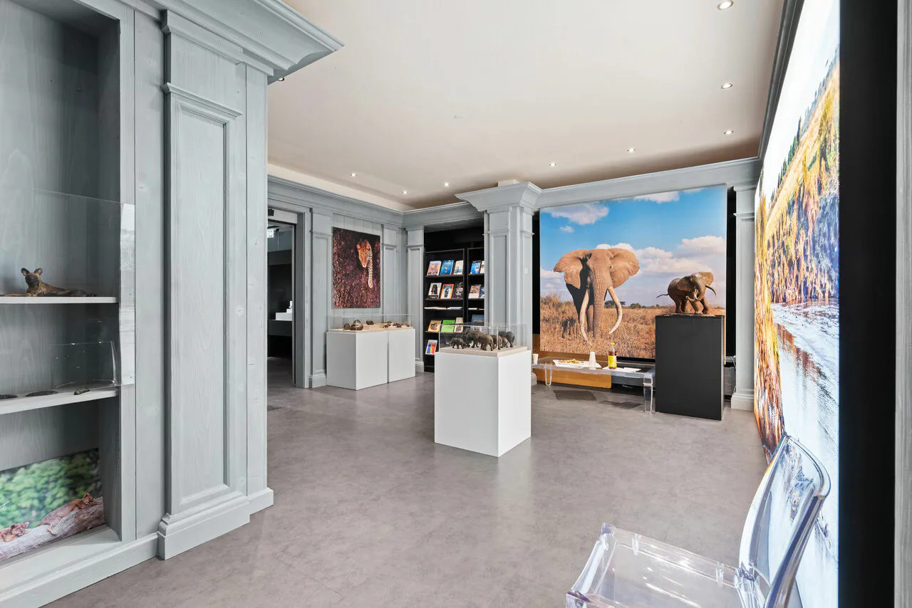 Local commercial 430m2 rue commerçante