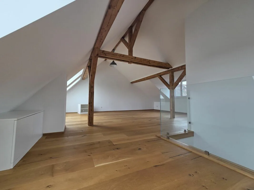 Spacious and modern attic apartment in Gundeli