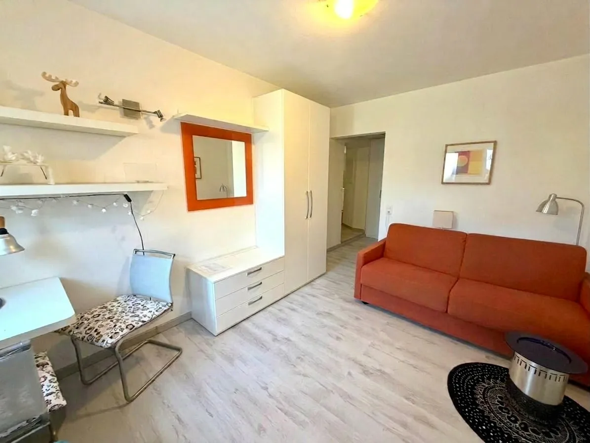 Charming one-room apartment furnished