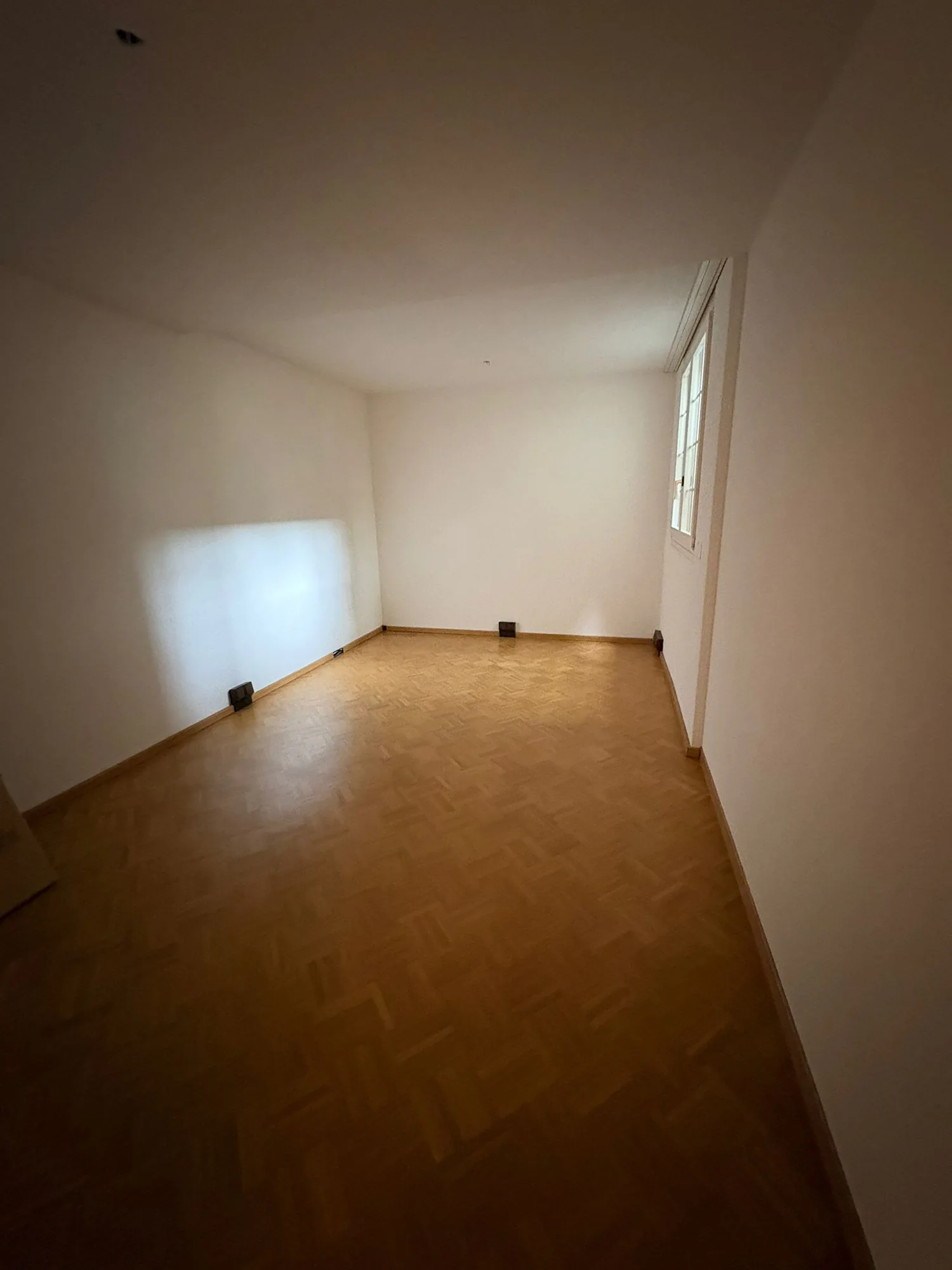Ampio locale per hobby in una zona tranquilla di Rafz