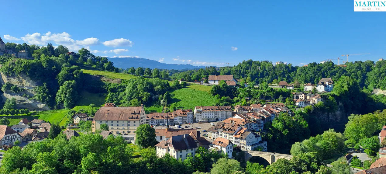 In vendita nel cuore della Città Vecchia di Friburgo, un magnifico attico