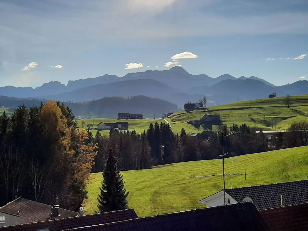 Renovierte Wohnung mit Balkon