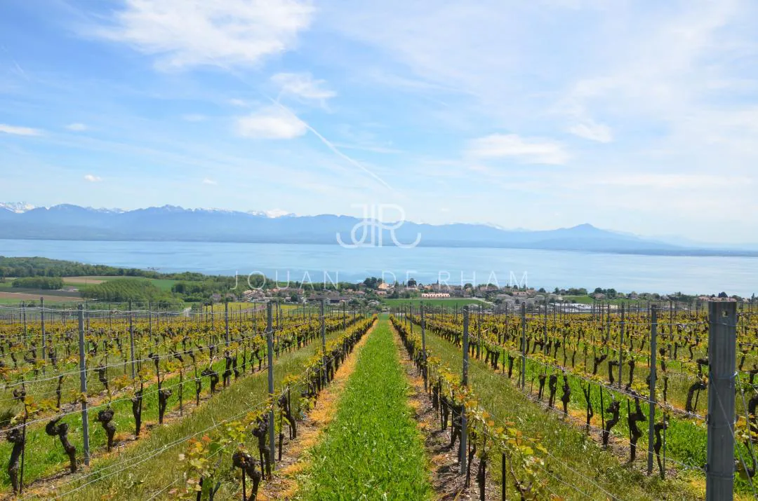 Magnificent property in the heights of Nyon