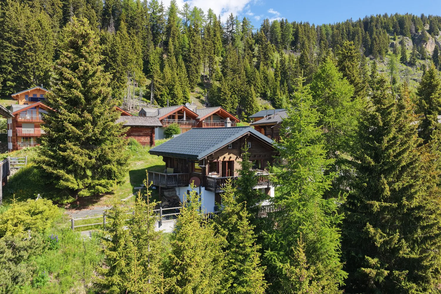 Charmant chalet de 7 pièces sur la promenade d'Aletsch à Riederalp