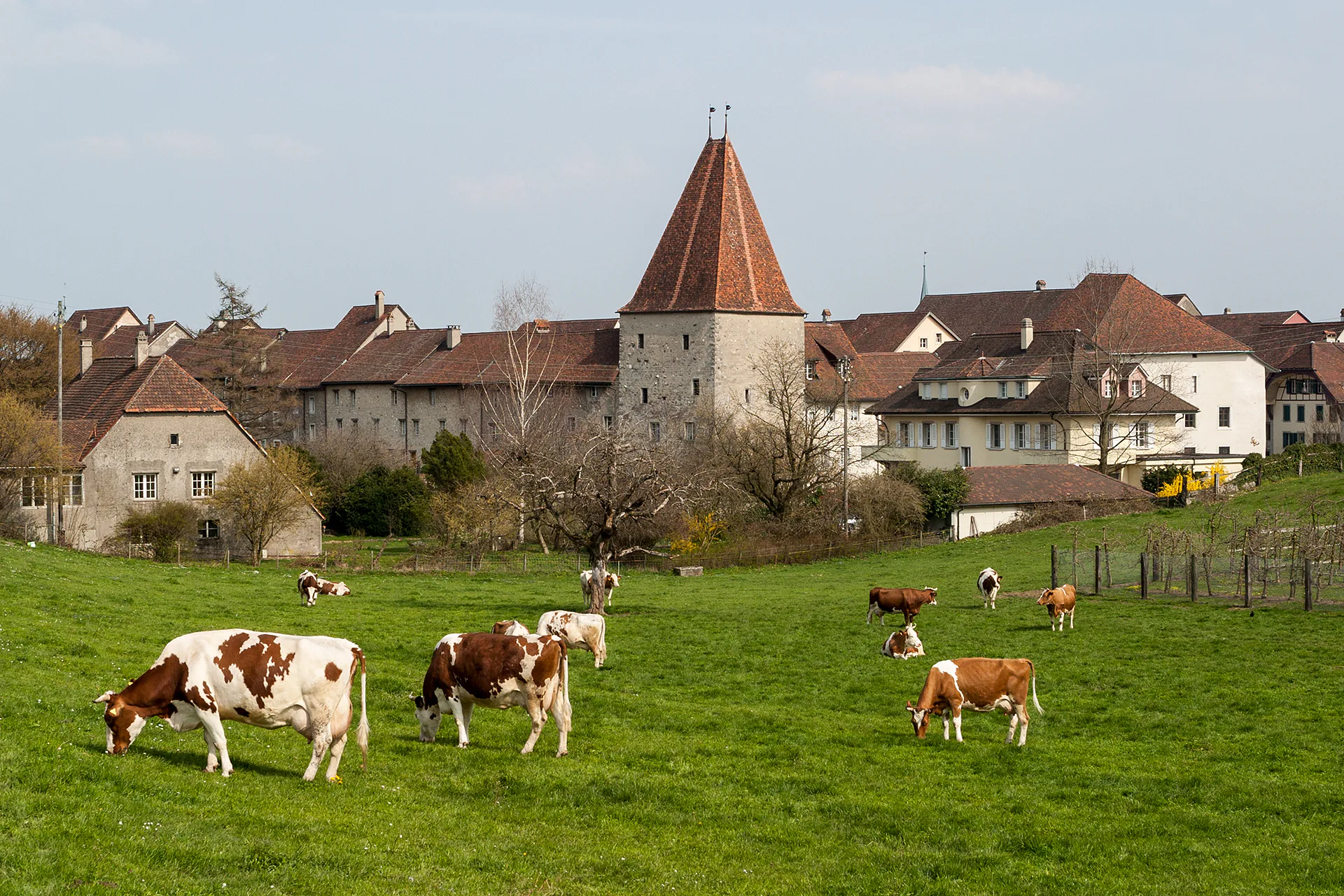 Wiedlisbach