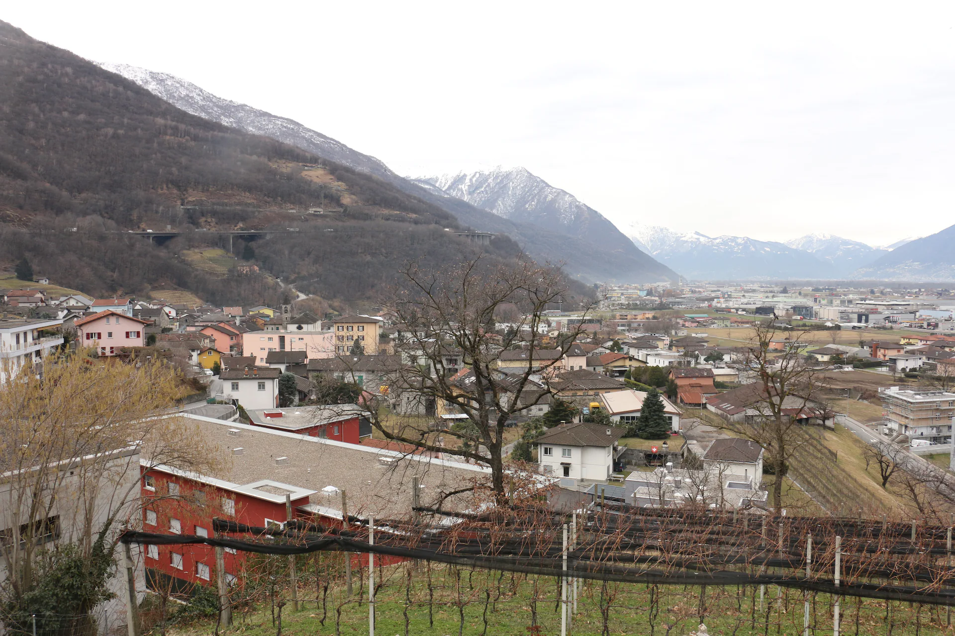 Sant'Antonino