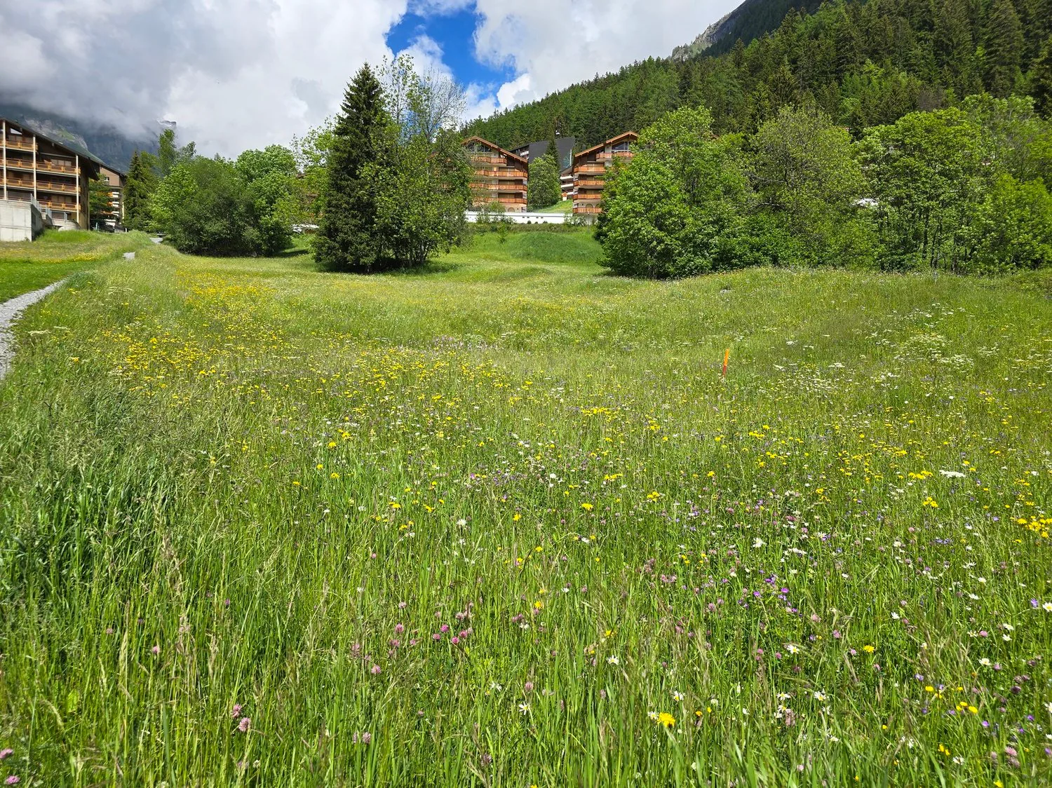 Bauplatz - 953 M2 - Leukerbad - Ref. 10245442