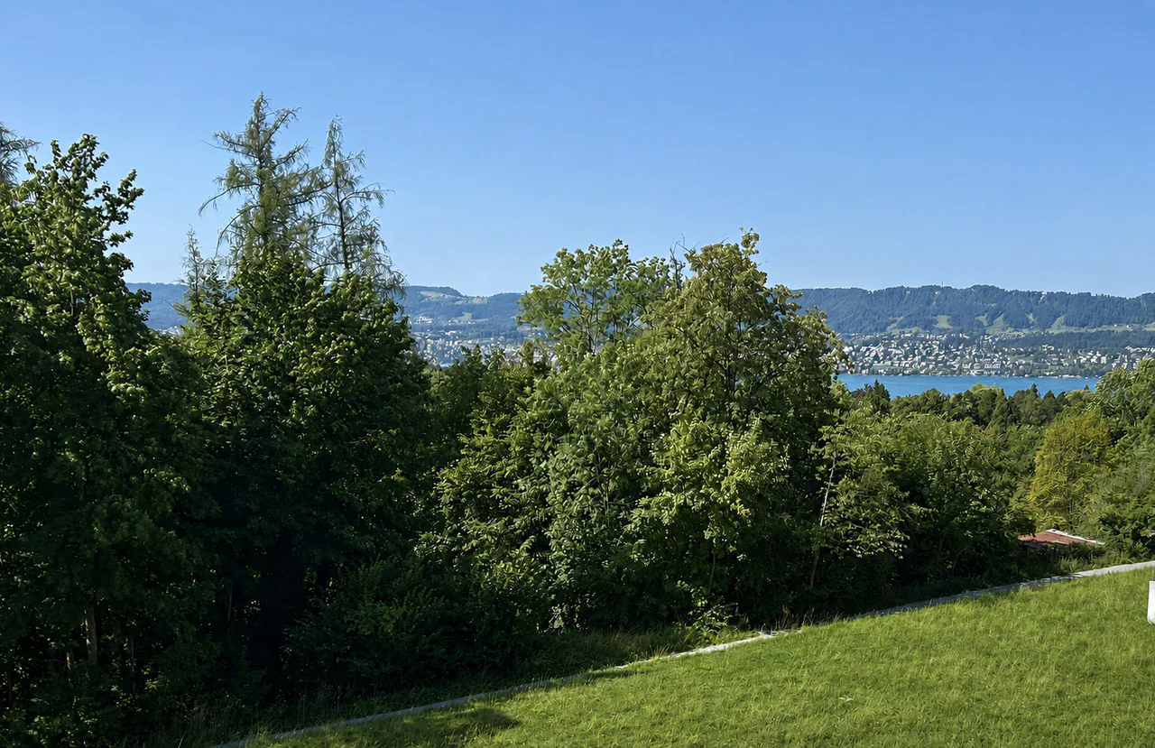 VITO Witikon: Zurich's Prime Location