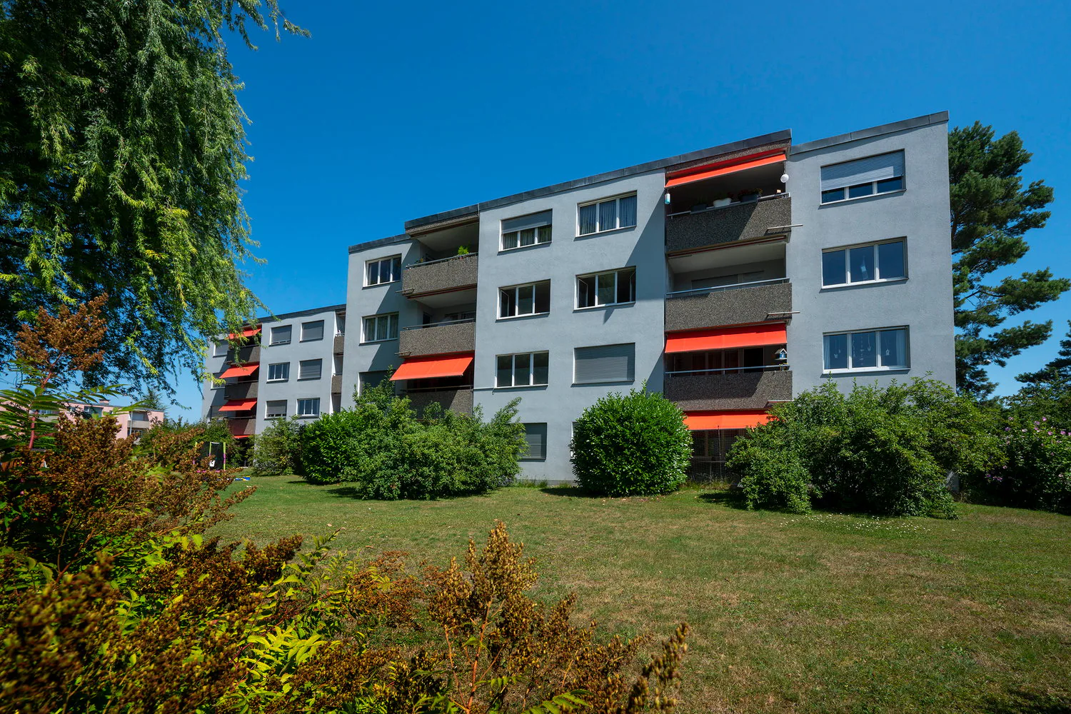 moderne 1½-Zimmerwohnung zu vermieten