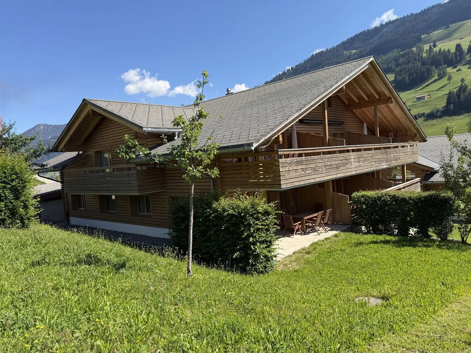 Bright 3½ room holiday apartment in the beautiful holiday resort of Lenk!