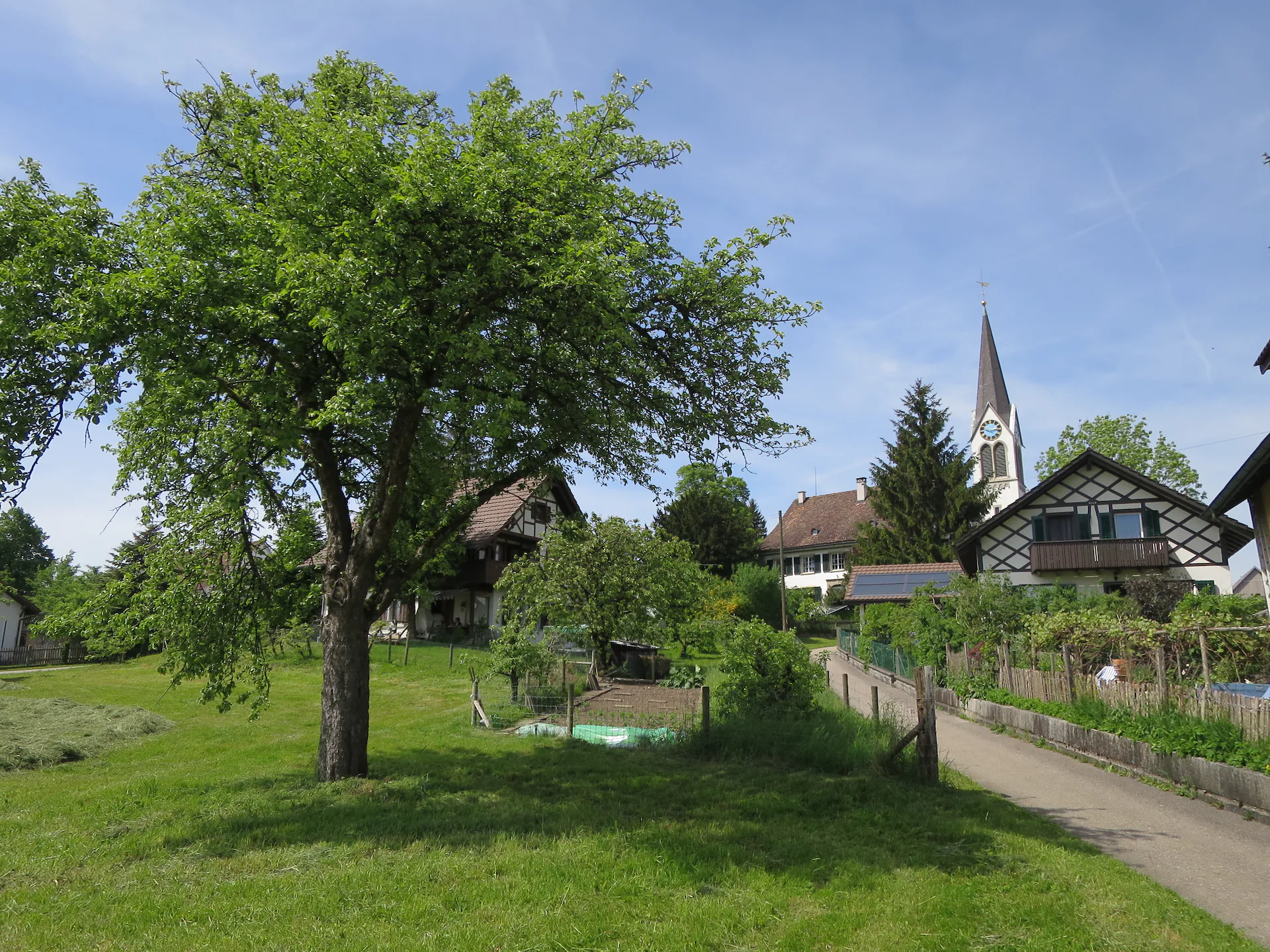 Lindau