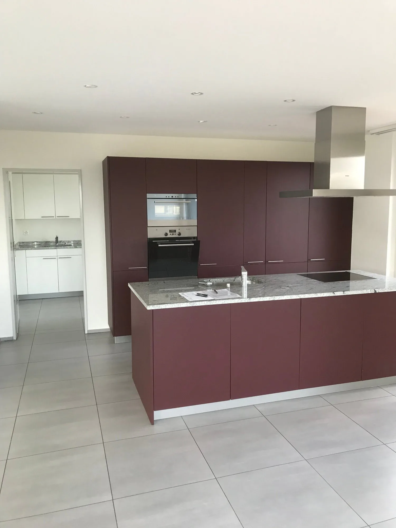 Grosszügige 7.5-Zimmer-Dachwohnung mit Panoramablick in Auw
