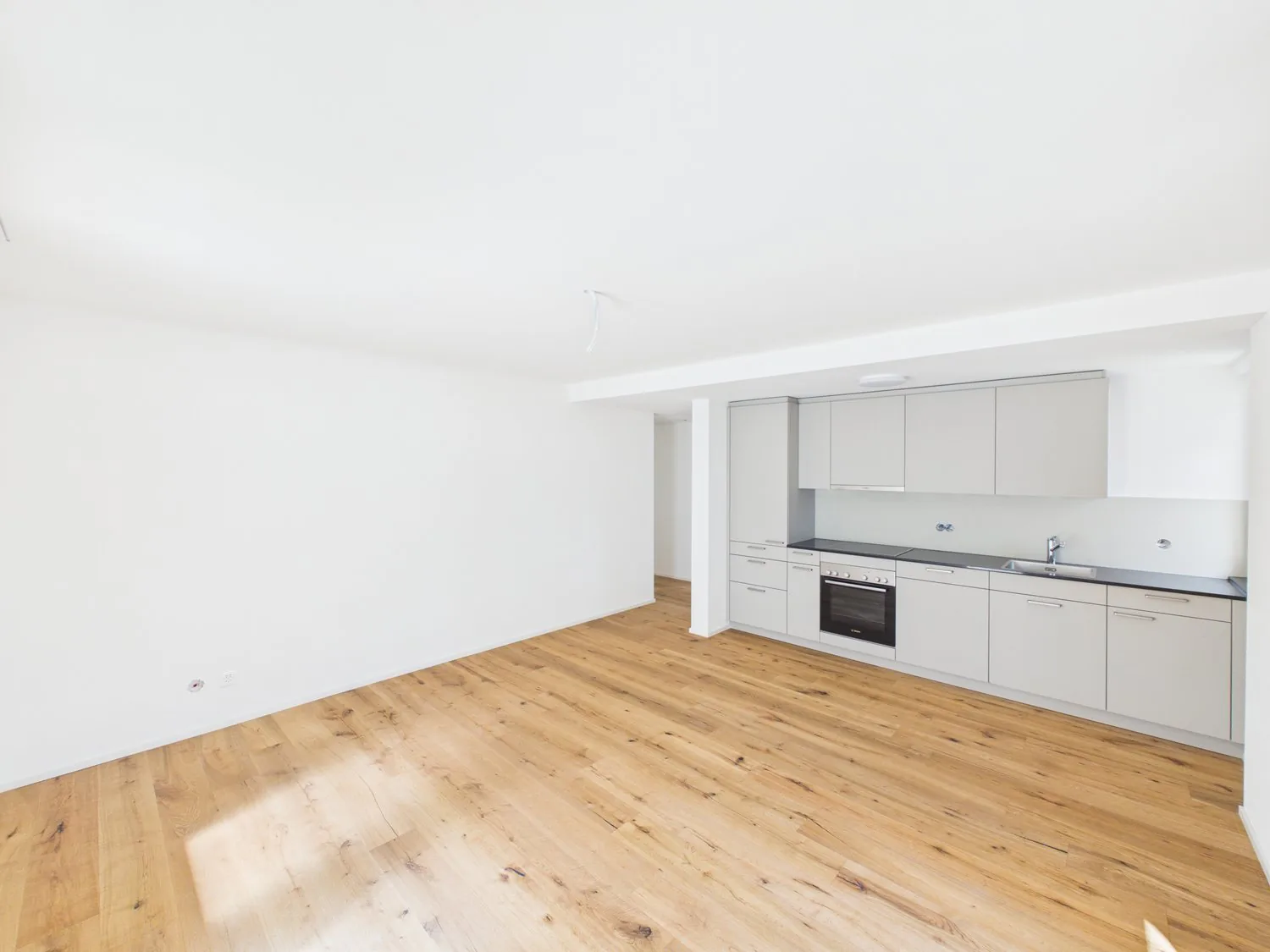 Primo Affitto - Appartamento di 3,5 locali totally ristrutturato in una posizione tranquilla