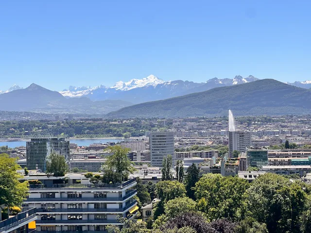 Beautiful lake view apartment in Geneva