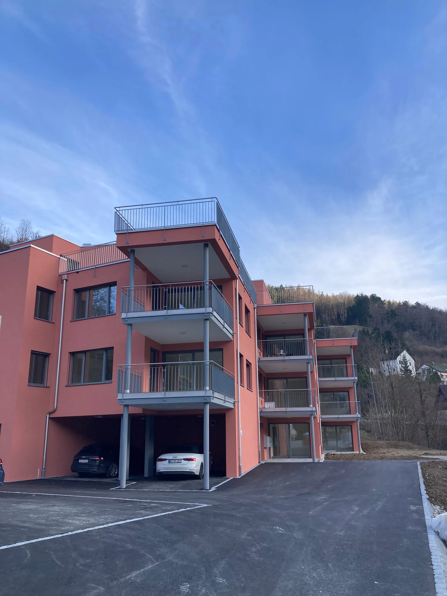 Last 2.5-room attic apartment with mountain view in Waldenburg