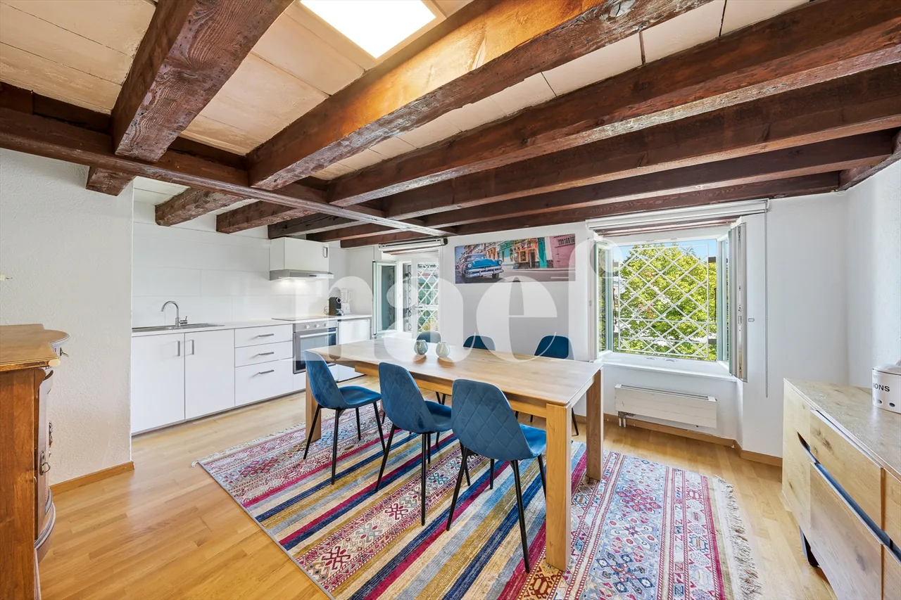 Duplex im Herzen von Petit-Saconnex