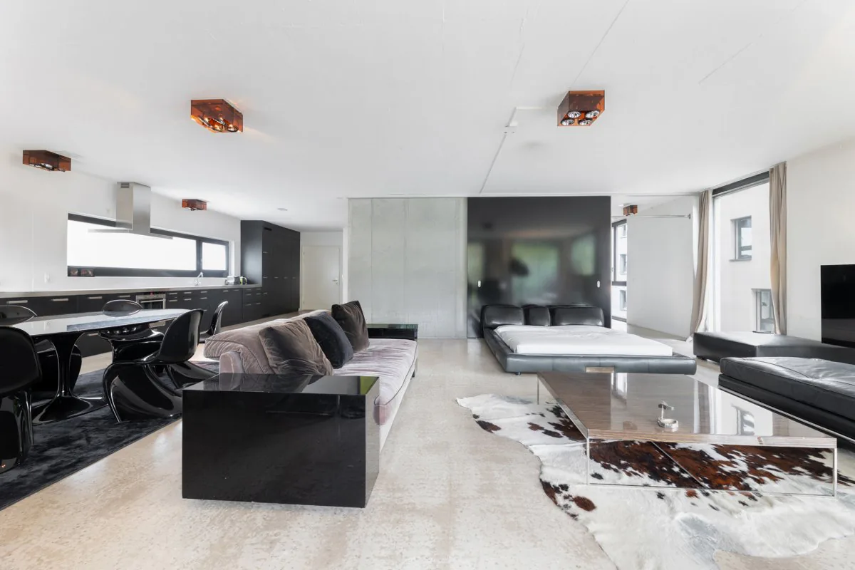 Loft - Luxurious - In the Heart of Zurich